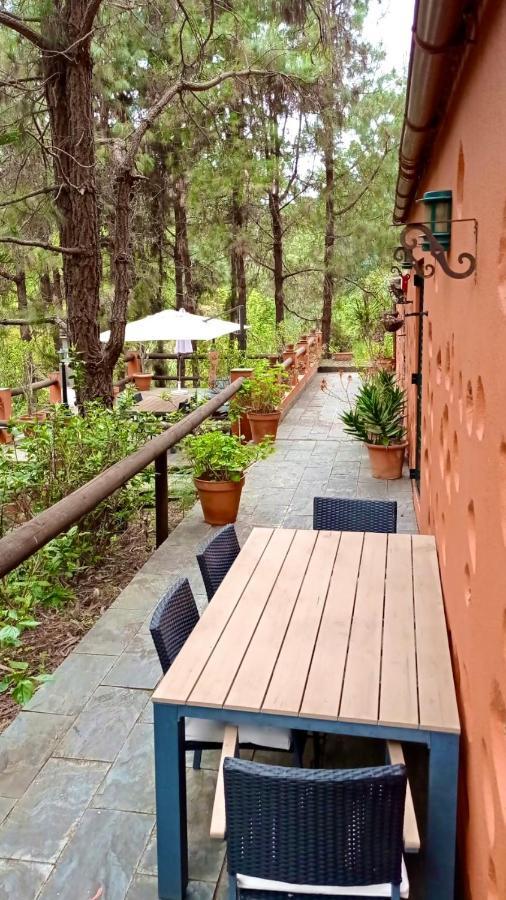 Casa Rural En Medio Del Bosque, El Lance Firgas Exteriör bild