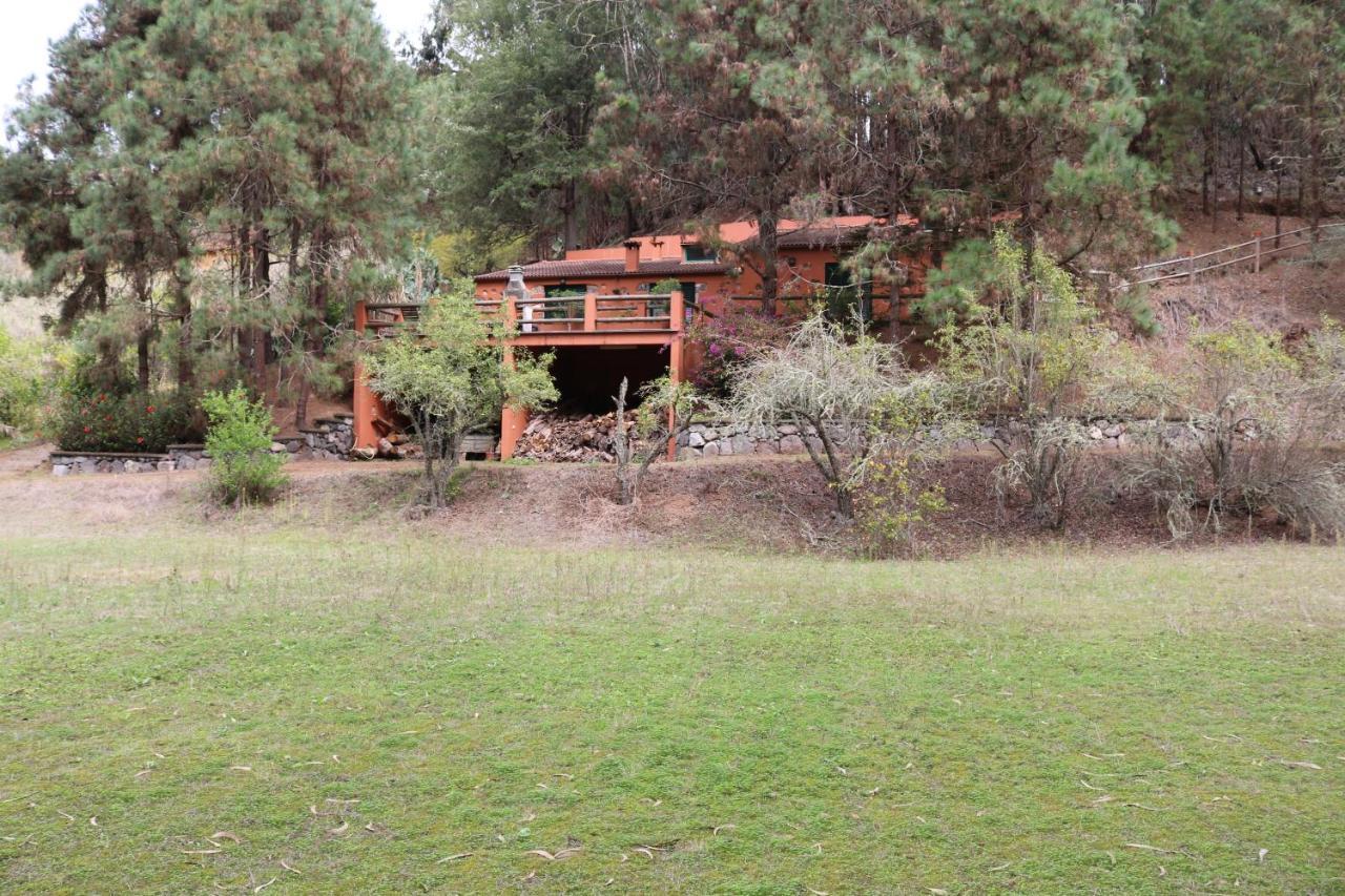 Casa Rural En Medio Del Bosque, El Lance Firgas Exteriör bild