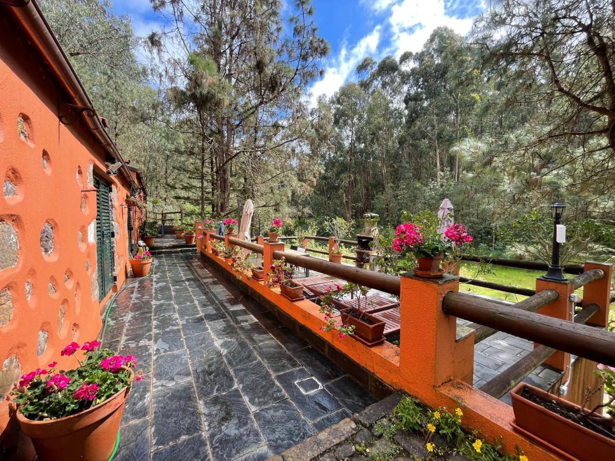 Casa Rural En Medio Del Bosque, El Lance Firgas Exteriör bild