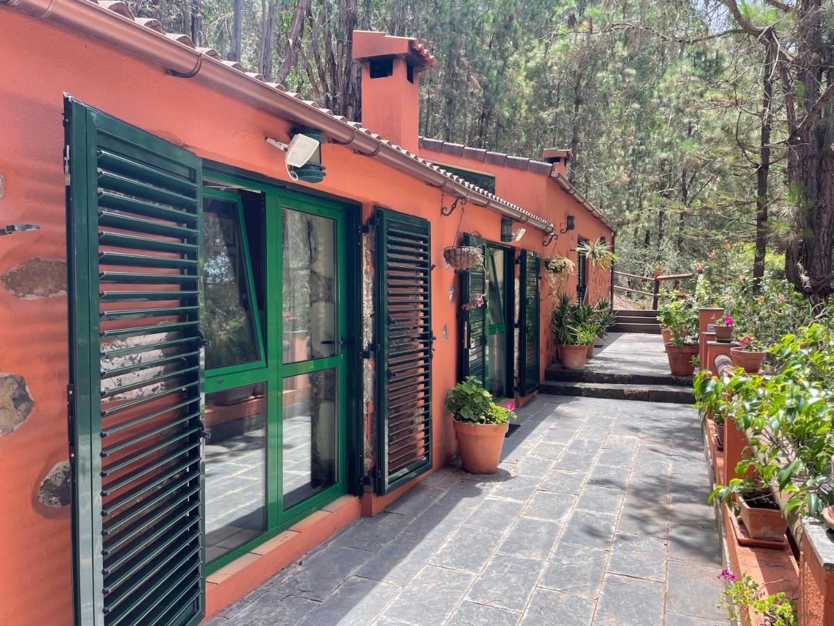 Casa Rural En Medio Del Bosque, El Lance Firgas Exteriör bild