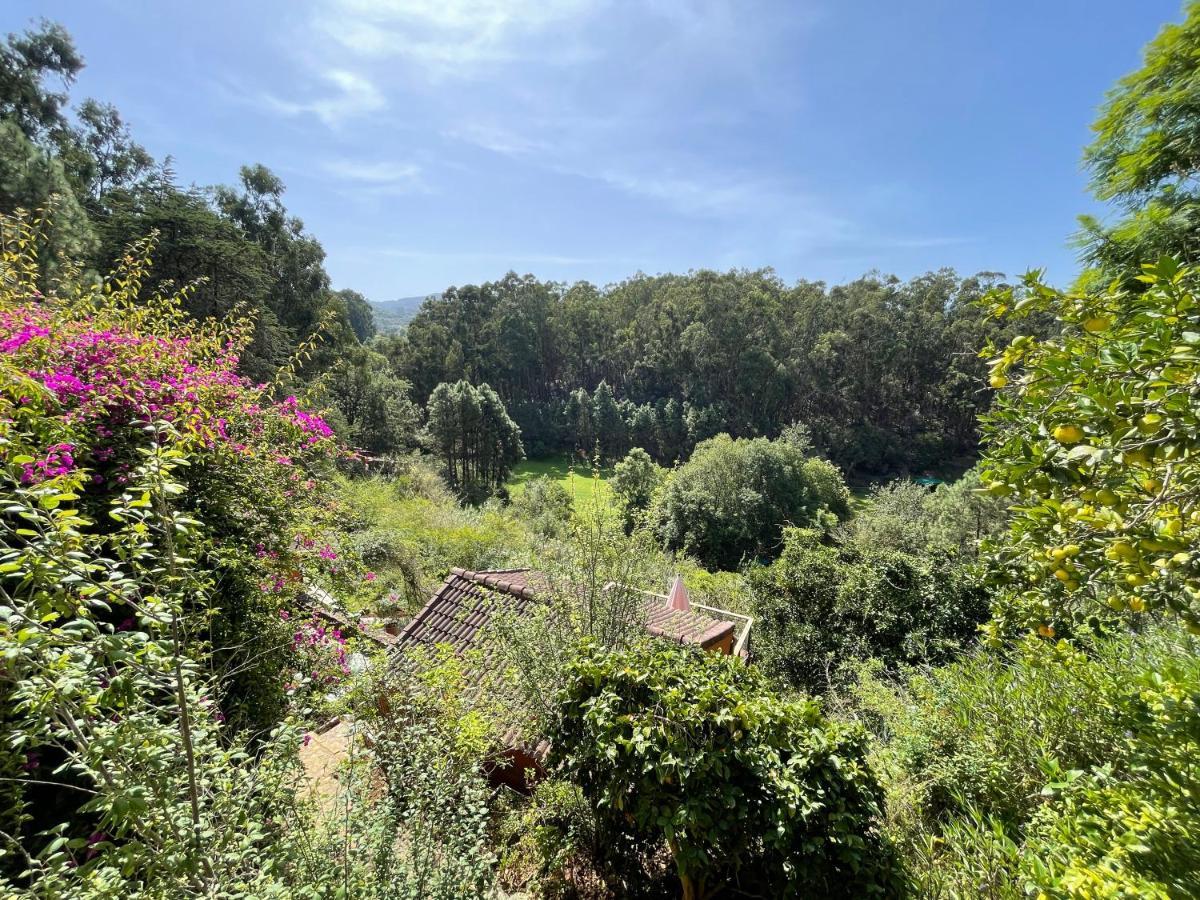 Casa Rural En Medio Del Bosque, El Lance Firgas Exteriör bild