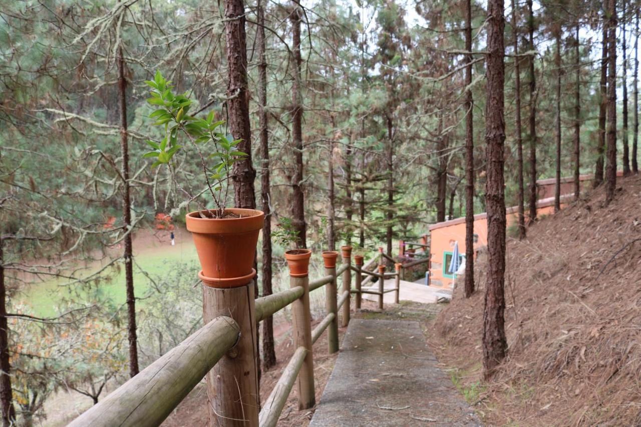 Casa Rural En Medio Del Bosque, El Lance Firgas Exteriör bild