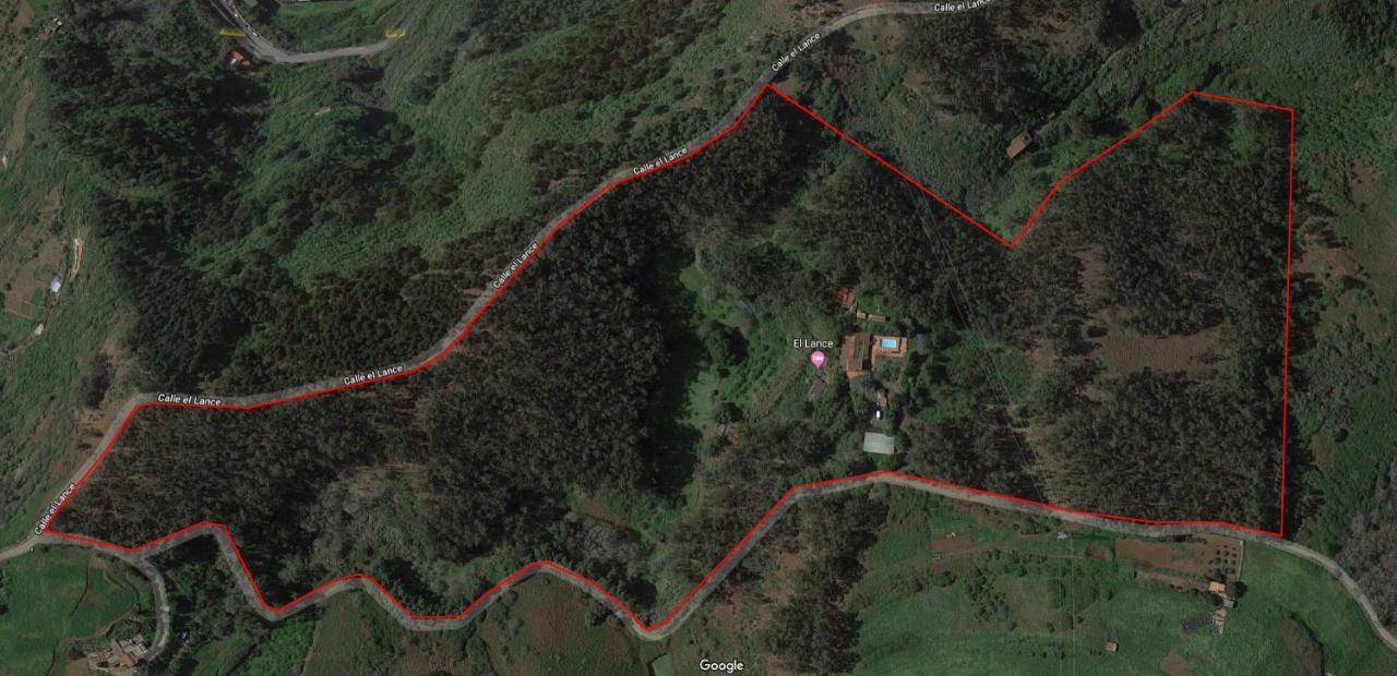 Casa Rural En Medio Del Bosque, El Lance Firgas Exteriör bild